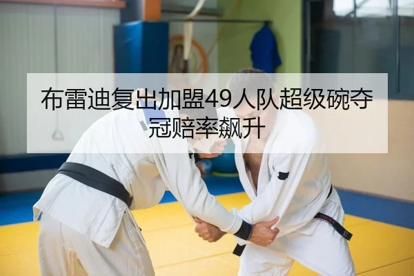 bu-lei-di-fu-chu-jia-meng-ren-dui-chao-ji-wan-duo-guan-pei-lv-biao-sheng-2-529.jpg